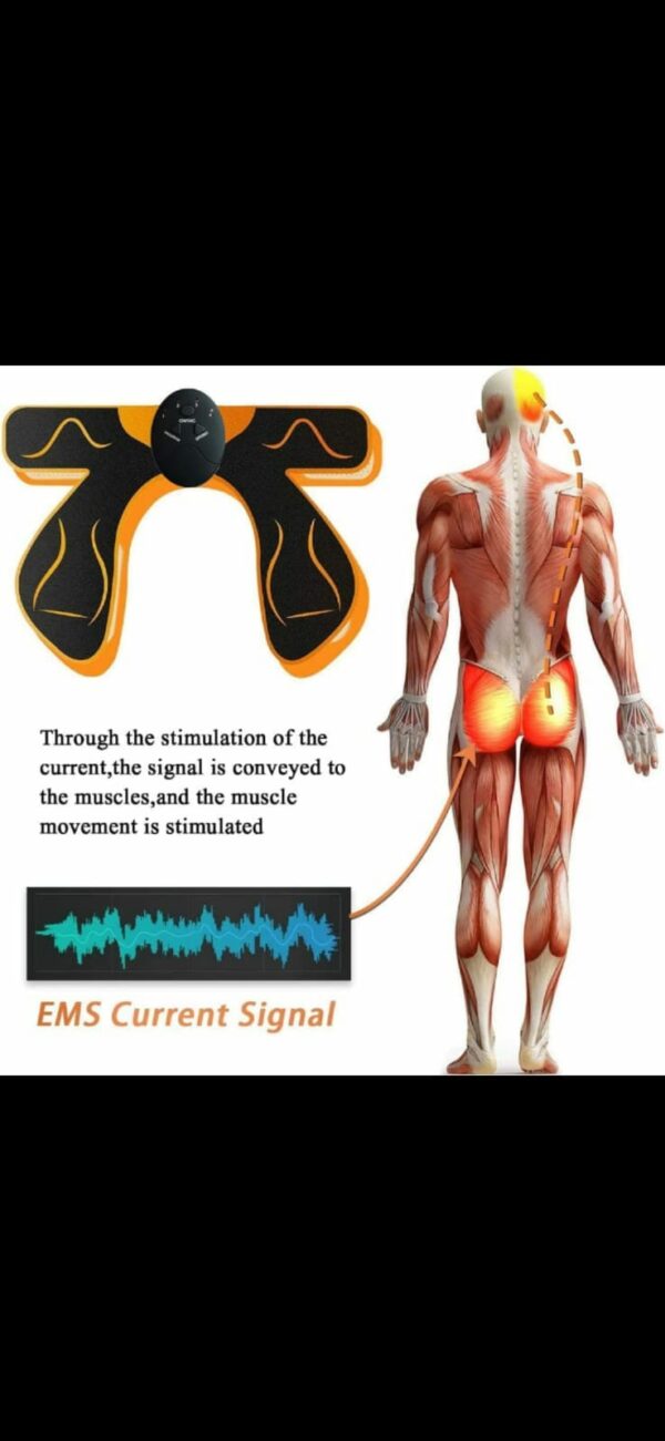 EMS Hips Trainer